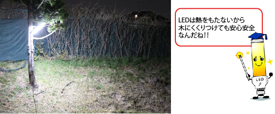 アウトドアで木にくくりつけて設置、LEDは熱をもたないから木にくくりつけても安心安全